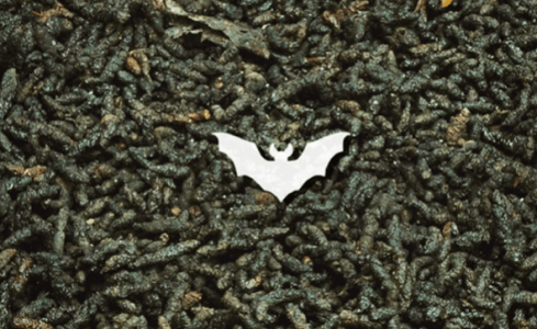 1665428701729.png 1665428701729.png