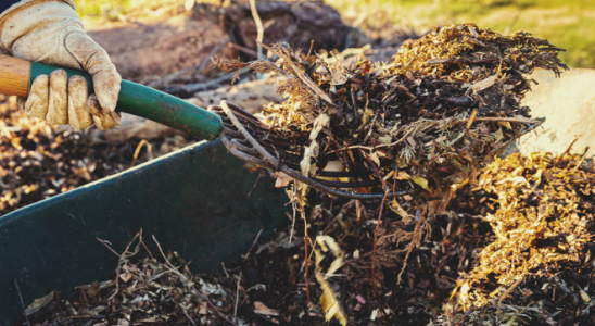 1665428945776.png 1665428945776.png