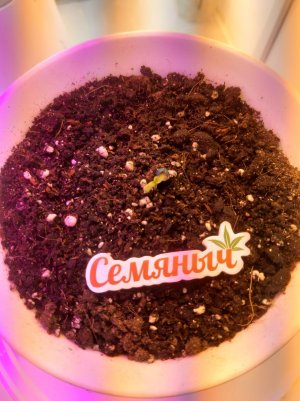 20221011_094743.jpg 20221011_094743.jpg