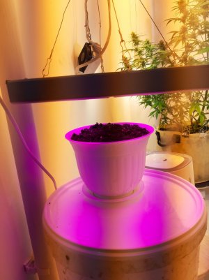 20221011_094652.jpg 20221011_094652.jpg