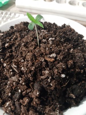 20221011_103514.jpg 20221011_103514.jpg