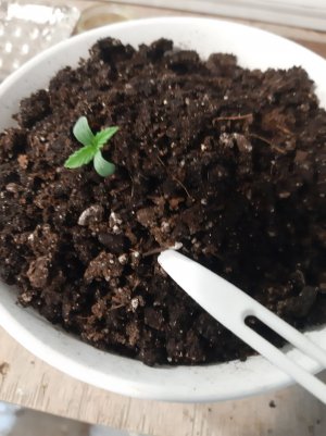 20221011_103436.jpg 20221011_103436.jpg