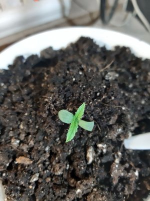 20221011_103354.jpg 20221011_103354.jpg