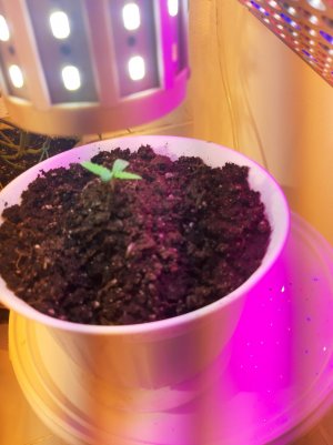 20221011_114041.jpg 20221011_114041.jpg