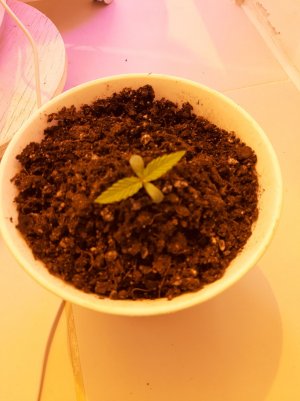 20221011_114055.jpg 20221011_114055.jpg