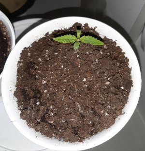 20221011_132259.jpg 20221011_132259.jpg