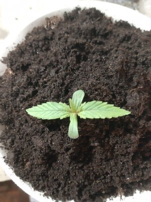 20221011_132228.jpg 20221011_132228.jpg