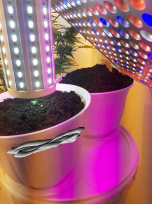 20221011_195629.jpg 20221011_195629.jpg