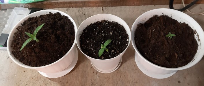 20221011_201237.jpg 20221011_201237.jpg