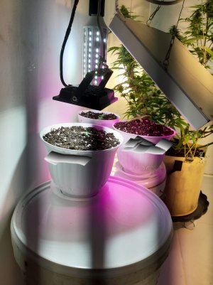 20221011_201521.jpg 20221011_201521.jpg