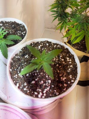 20221011_205518.jpg 20221011_205518.jpg