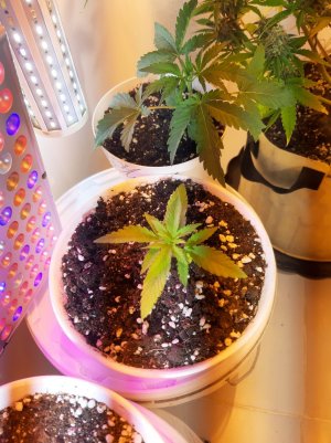 20221012_091709.jpg 20221012_091709.jpg