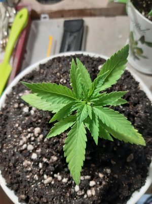 20221012_091726.jpg 20221012_091726.jpg