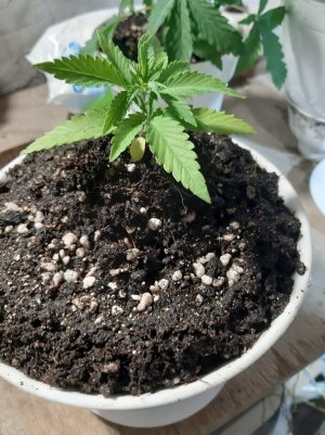 20221012_091801.jpg 20221012_091801.jpg