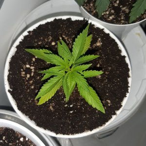 20221012_124647.jpg 20221012_124647.jpg