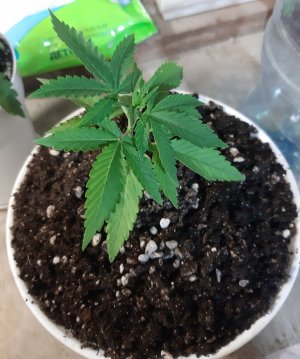 20221012_124925.jpg 20221012_124925.jpg