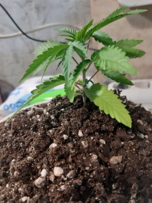 20221012_133210.jpg 20221012_133210.jpg