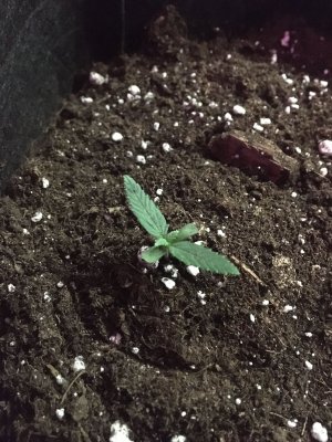 imgonline-com-ua-dexifyBXCnvCcwf1C (1).jpg