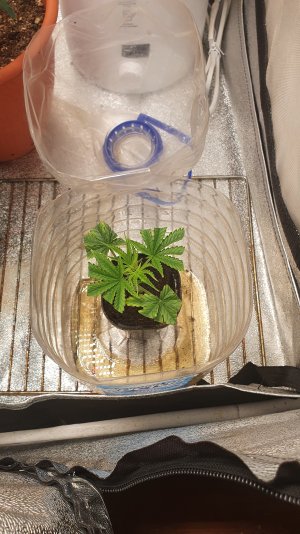 20220910_235338.jpg 20220910_235338.jpg