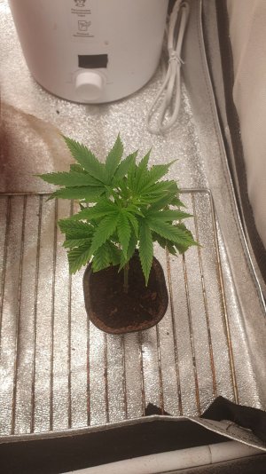 20220914_221228.jpg 20220914_221228.jpg