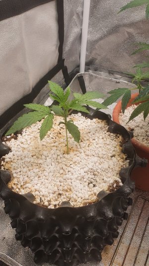 20220914_221233.jpg 20220914_221233.jpg