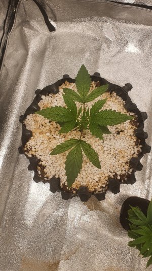 20220915_221029.jpg 20220915_221029.jpg