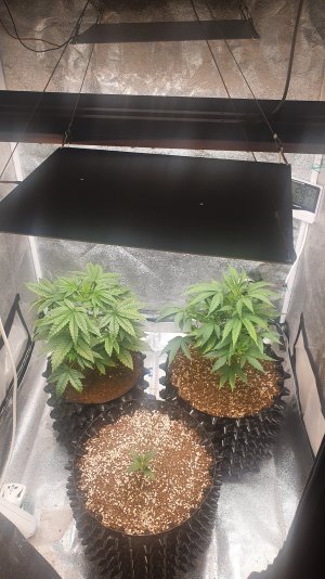 20220928_200740.jpg 20220928_200740.jpg