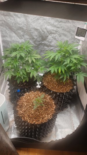 20221002_103841.jpg 20221002_103841.jpg