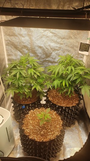 20221003_192319.jpg 20221003_192319.jpg