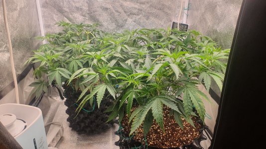 20221011_223528.jpg 20221011_223528.jpg