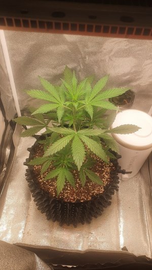 20221013_071930.jpg 20221013_071930.jpg