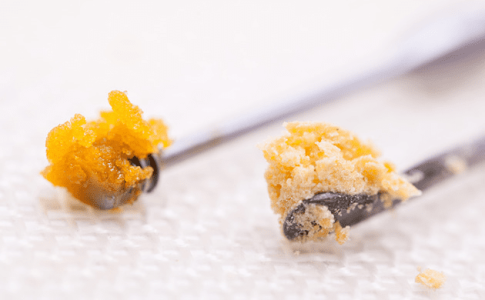 Концентраты конопли 