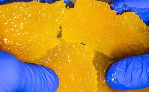 концентрат каннабиса