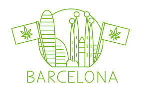 барса.png барса.png