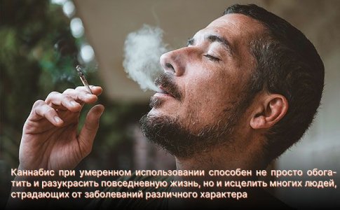 Chto-takoe-zavisimost.jpg Chto-takoe-zavisimost.jpg