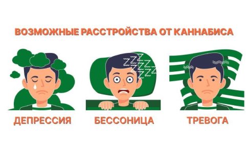 Kakie-rasstrojstva-mozhet-vyzvat-kannabis.jpg Kakie-rasstrojstva-mozhet-vyzvat-kannabis.jpg