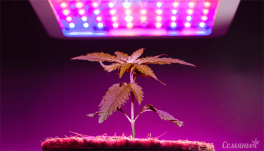 1618849803678.png 1618849803678.png