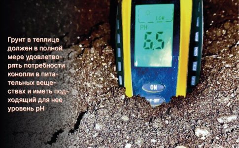 Подготовка грунта в теплице для конопли