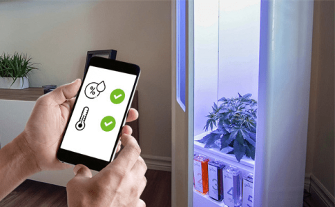 1623949482556.png 1623949482556.png