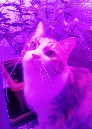 IMG_20210617_214655.jpg IMG_20210617_214655.jpg