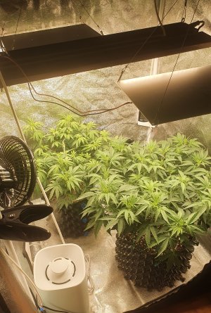 20221016_013202.jpg 20221016_013202.jpg