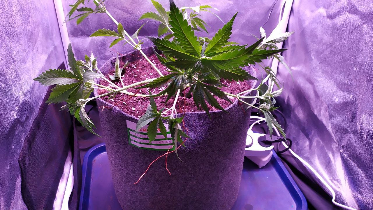 photo_2022-10-16_12-21-32 (2).jpg photo_2022-10-16_12-21-32 (2).jpg