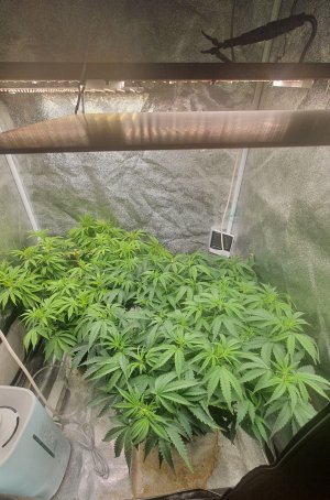 20221019_022318.jpg 20221019_022318.jpg