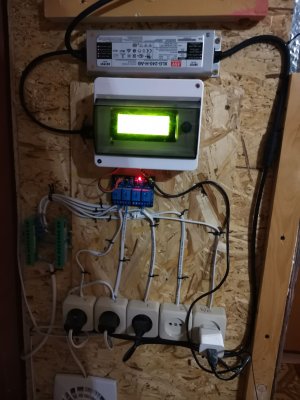 IMG_20221019_221304.jpg IMG_20221019_221304.jpg