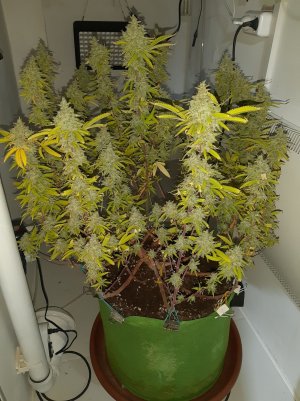 20221020_143147.jpg 20221020_143147.jpg