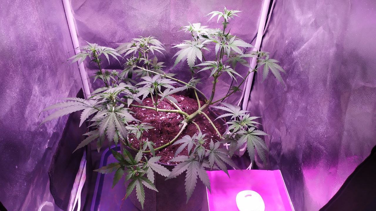 photo_2022-10-20_20-37-37 (2).jpg photo_2022-10-20_20-37-37 (2).jpg