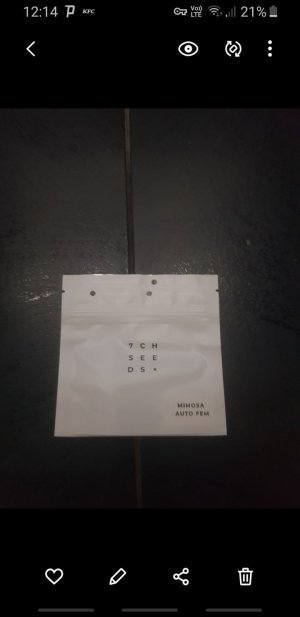 Screenshot_20221021-121411_Gallery.jpg Screenshot_20221021-121411_Gallery.jpg