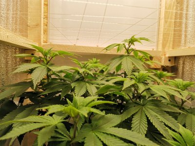 IMG_20221021_152147.jpg IMG_20221021_152147.jpg