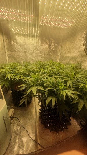 20221022_222154.jpg 20221022_222154.jpg