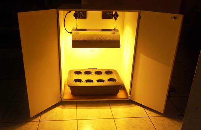 5811202525_411fa1457f_z.jpg 5811202525_411fa1457f_z.jpg